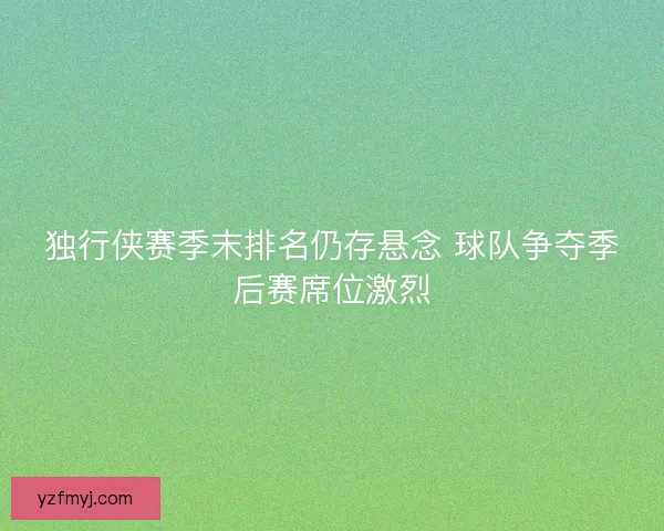 独行侠赛季末排名仍存悬念 球队争夺季后赛席位激烈
