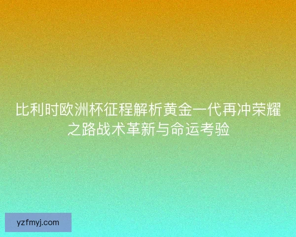 比利时欧洲杯征程解析黄金一代再冲荣耀之路战术革新与命运考验