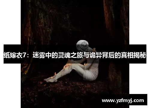 纸嫁衣7：迷雾中的灵魂之旅与诡异背后的真相揭秘