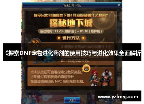 《探索DNF宠物进化药剂的使用技巧与进化效果全面解析》