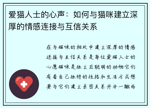 爱猫人士的心声：如何与猫咪建立深厚的情感连接与互信关系