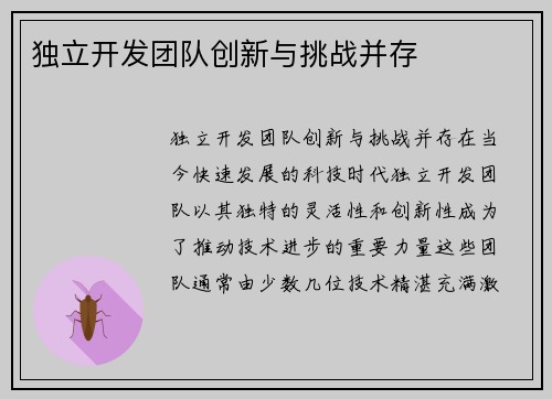 独立开发团队创新与挑战并存